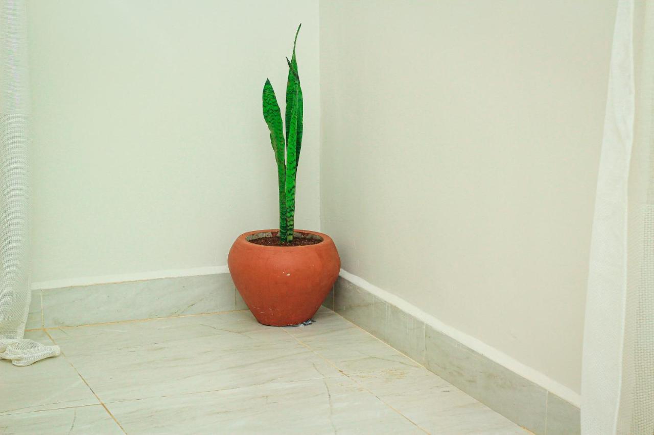 Kwale Residence ザンジバルシティ エクステリア 写真